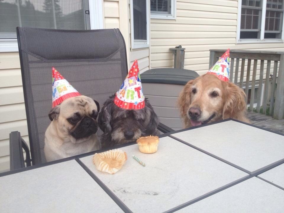 another-boring-story:  me and some friends at my bday party 