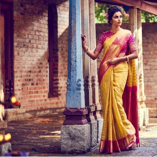 Saree beauty