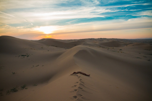 “A Resting Place”Michelle in Algodones Dunes. California. April 2015