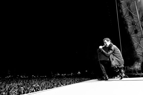 stuckonaturner: Alex Turner @ Roskilde Festival 2014