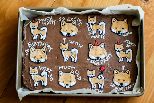 confectionerybliss: Shiba Inu Brownies | Clockwork Lemon