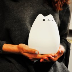 hanae-ichihara:  ✧ Cat Cartoon USB Charging