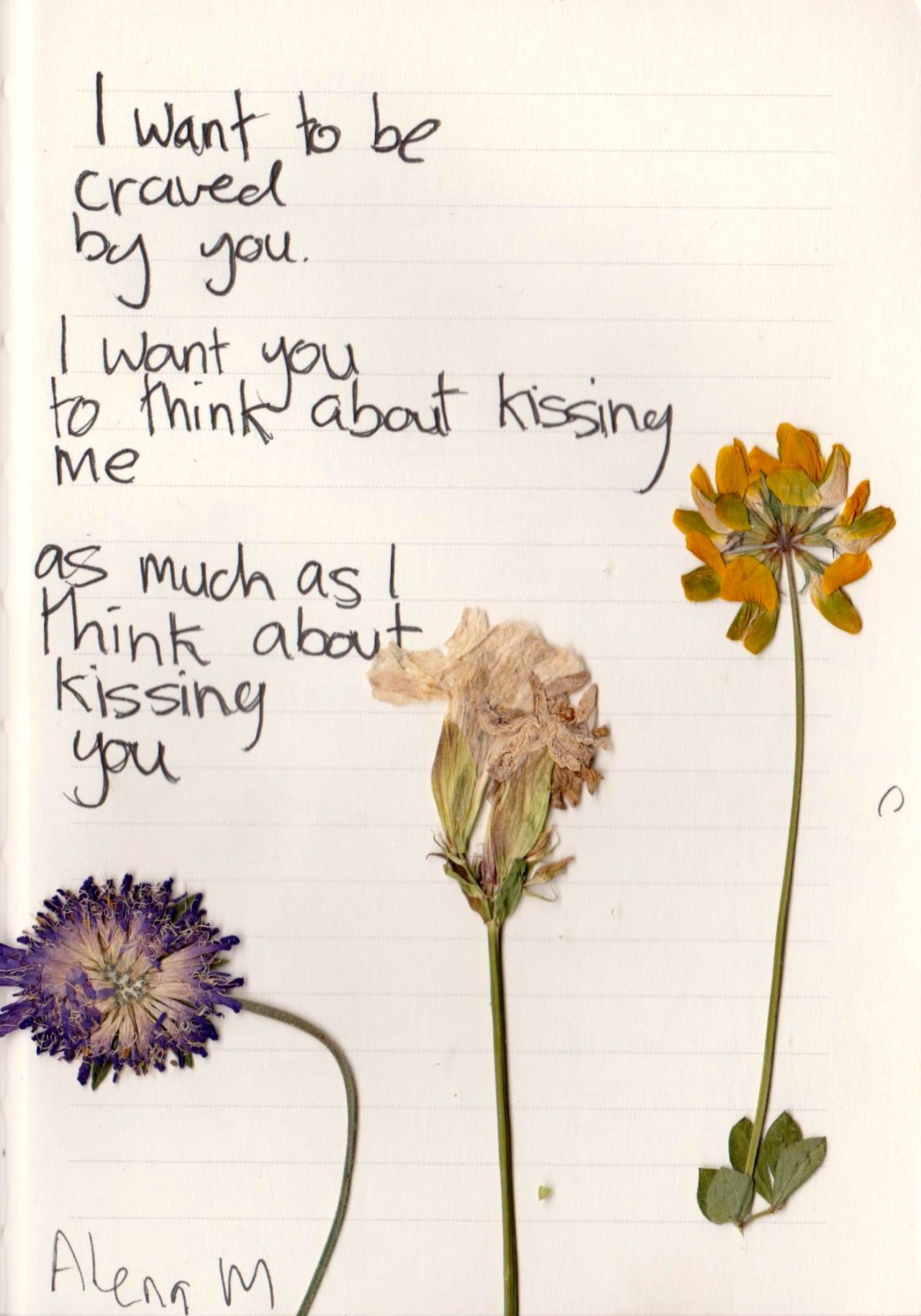 scin-tillation:  recovery—room:  whatever-you-write: I want to becravedby you.I