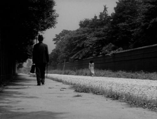 folie-atwo: 晩春 Late Spring (1949, Yasujirō Ozu)