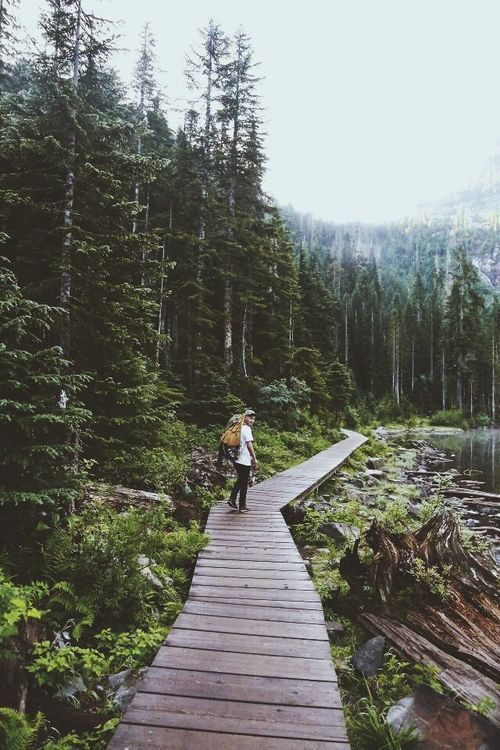 peacelovewhatever:  young, wild an free? i am always free and young but i never will