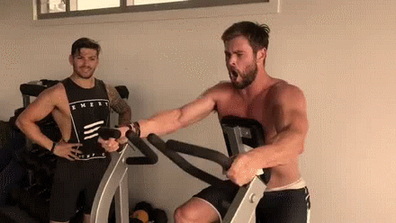 x-fits-y:  That man manages to put him on a harness and made him walk like a dog…