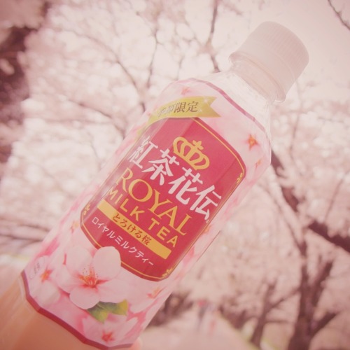 bitmapdreams: Kocha Kaden Royal Milk Tea, Melty Sakura flavor