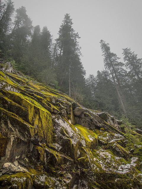 Mountain Trek by Danielle Bednarczyk on Flickr.