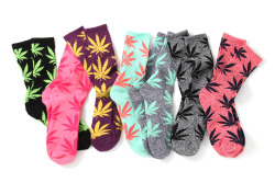 weedporndaily:  Reblog this to win HUF socks!