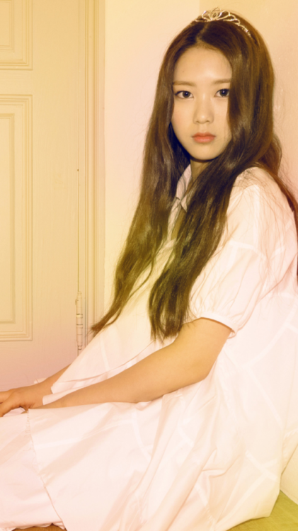 Oh My Girl wallpapers for anon  like/reblog if you save/use