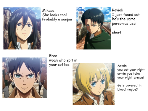 yaoihandspom:  ruru-chii:  chocodi:  what I’ve learned so far.  SIE SIND DAS NYE UND BEES AND THE EAGLES  MIKASA ES SU CASA 