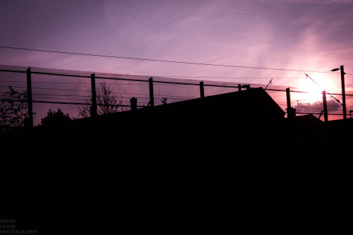 spiders-photos: &lsquo;A Dagenham sunset, and silhouettes.' 