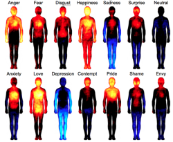 theatlantic:  Mapping How Emotions Manifest in the Body  Across cultures, people feel increased activity in different parts of the body as their mental state changes. Read more. [Image: Proceedings of the National Academies of Science]  