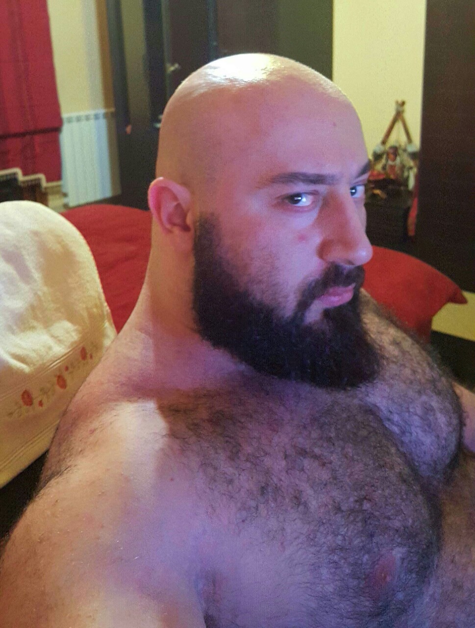 MACHOS VELLUDOS