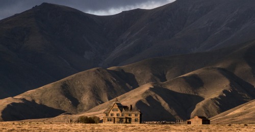 The Power of the Dog (Jane Campion, 2021) I was mesmerized from the first frame. Tension and dread g