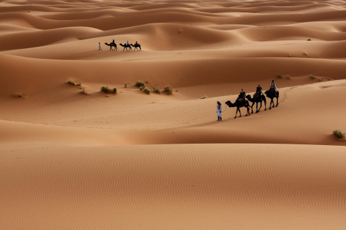 polychelles:Erg Chebbi desert, Morocco by Alex Lichtenberger