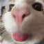 soobslefteyelash