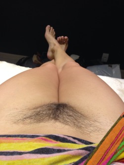 noshes-hairy-point-of-view:  http://noshes-big-plan.tumblr.com/ 