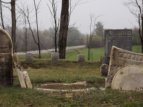 suburbanscrimshaw:Signs of life at the cemetery