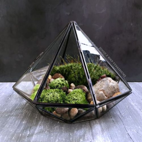 Lush Live Moss Terrariums Fulfill Your Longing for NatureFor those moments you wish you were surroun