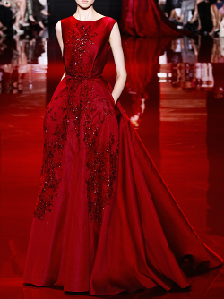 askyfullofwinterstarsss-deactiv:  Elie Saab