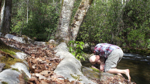 thesnakeandtherabbit:  Down by the river… #vacation 