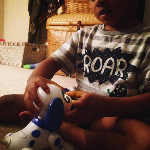 #Zeedo finally got his #ZoomerZuppy #Sport#toys#fun #igkids #ROAR