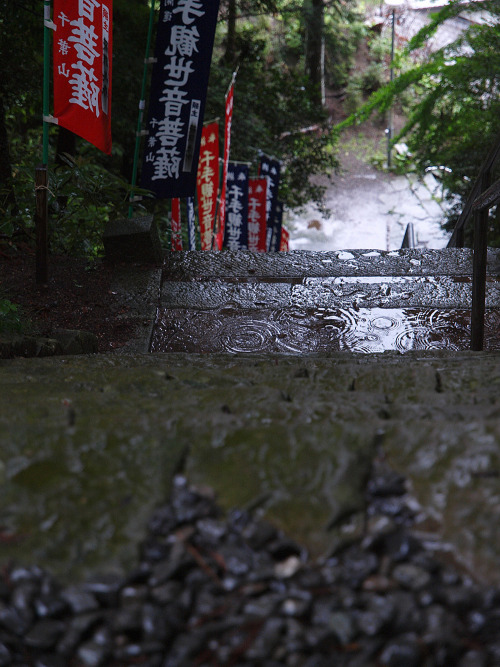 keikifuse: 雨の情景 静岡県島田市にある千葉山智満寺の急すぎる石段・・・ ほとばしる雨水が奥深い情景になお一層の情緒を醸し出していました。