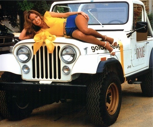 legman84gn: suntansheerpantyhose:  mike19731977: Catherine Bach Actress She is one of the reasons I&