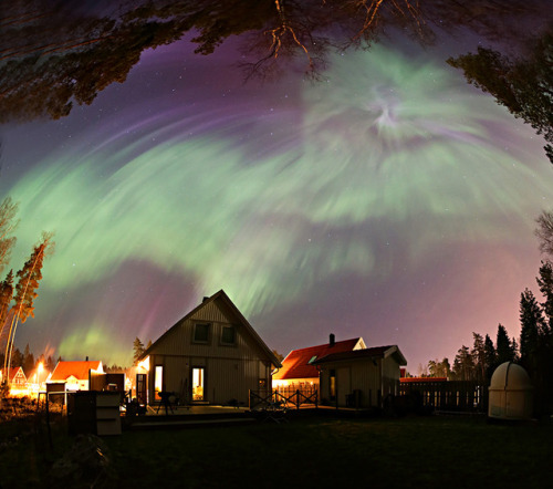 Aurora in the Backyard: On the night of March 17/18 this umbrella of northern lights unfolded over b