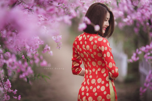  Vietnamese long dress (Ao dai) bởi Beauty Collection Qua Flickr: Photo backup https://flic.kr/s/aHs