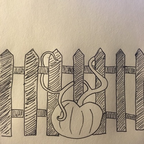 Day 27: I love the way pumpkin vines creep.