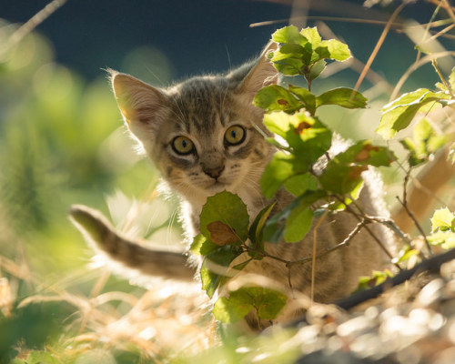 (via kankushok)