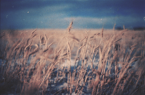 foxmouth:  Landscapes, 2014 | by Julian Bialowas