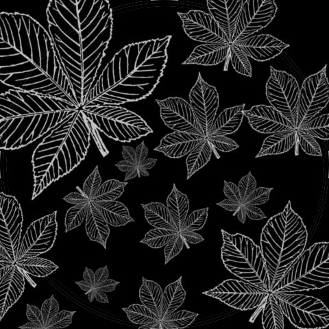 prettyawesomewallpapers