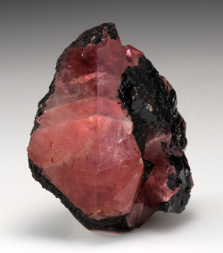 bijoux-et-mineraux:  Rhodochrosite on matrix