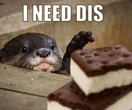 Loving Otter