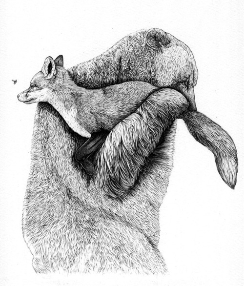 fer1972:  Illustrations by Amy Dover