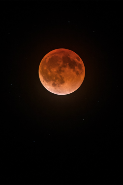 tulipnight:  Eclispe 271 by Darvin Atkeson on Flickr, April 15, 2014