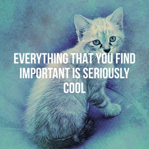 https://ift.tt/3yOFyHO best-of-inspirobot:[Everything that you find important is seriously cool]