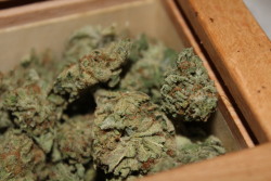 wutangkilllabeez:  love me some fresh green