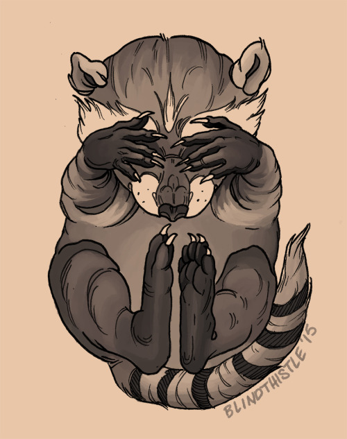 raccoon tattoo