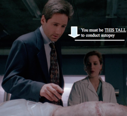 theogfiles:  Sorry Agent Scully, but you’re