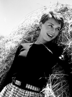 summers-in-hollywood:  Audrey Hepburn in