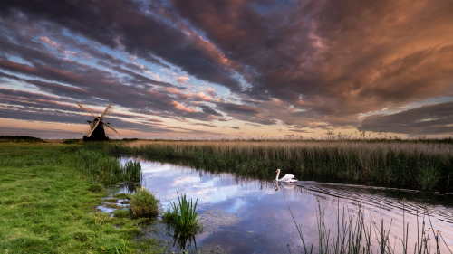 Herringfleet Mill