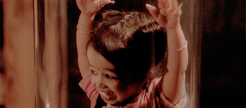 ahorrorstorycircle:  Like a Butterfly. RIP Ma Petite.