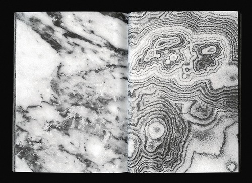 theautologicalmetaphor:  ghazaal vojdani.
