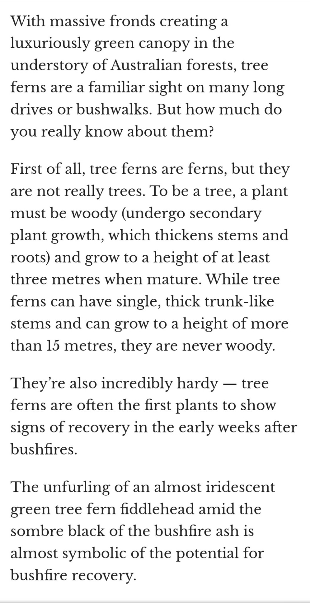 There Are FERNS?? That Grow Like TREES???? No Fucking Way 