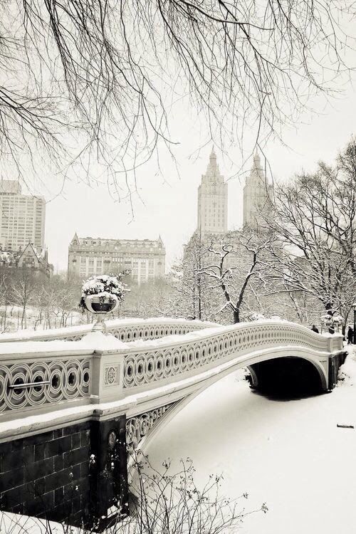 newyorkcityfeelings:  Festive Bow Bridge, Central Park, NYC 