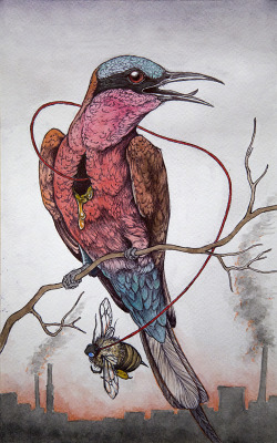 caitlinhackettart:  I’ve added my painting “the Bee Eater” to my shop today, I’m also having a sale in honor of my kitty Devalera who is currently sick and on his way to the vet. You can find this piece at www.caitlinhackett.storenvy.com, and
